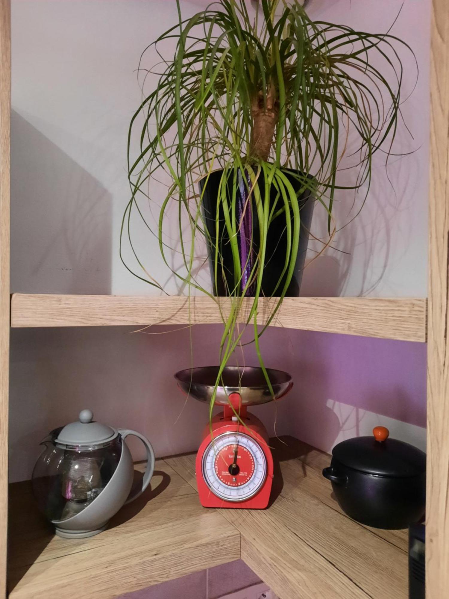Studio Bouquet Brouzet-les-Ales Экстерьер фото